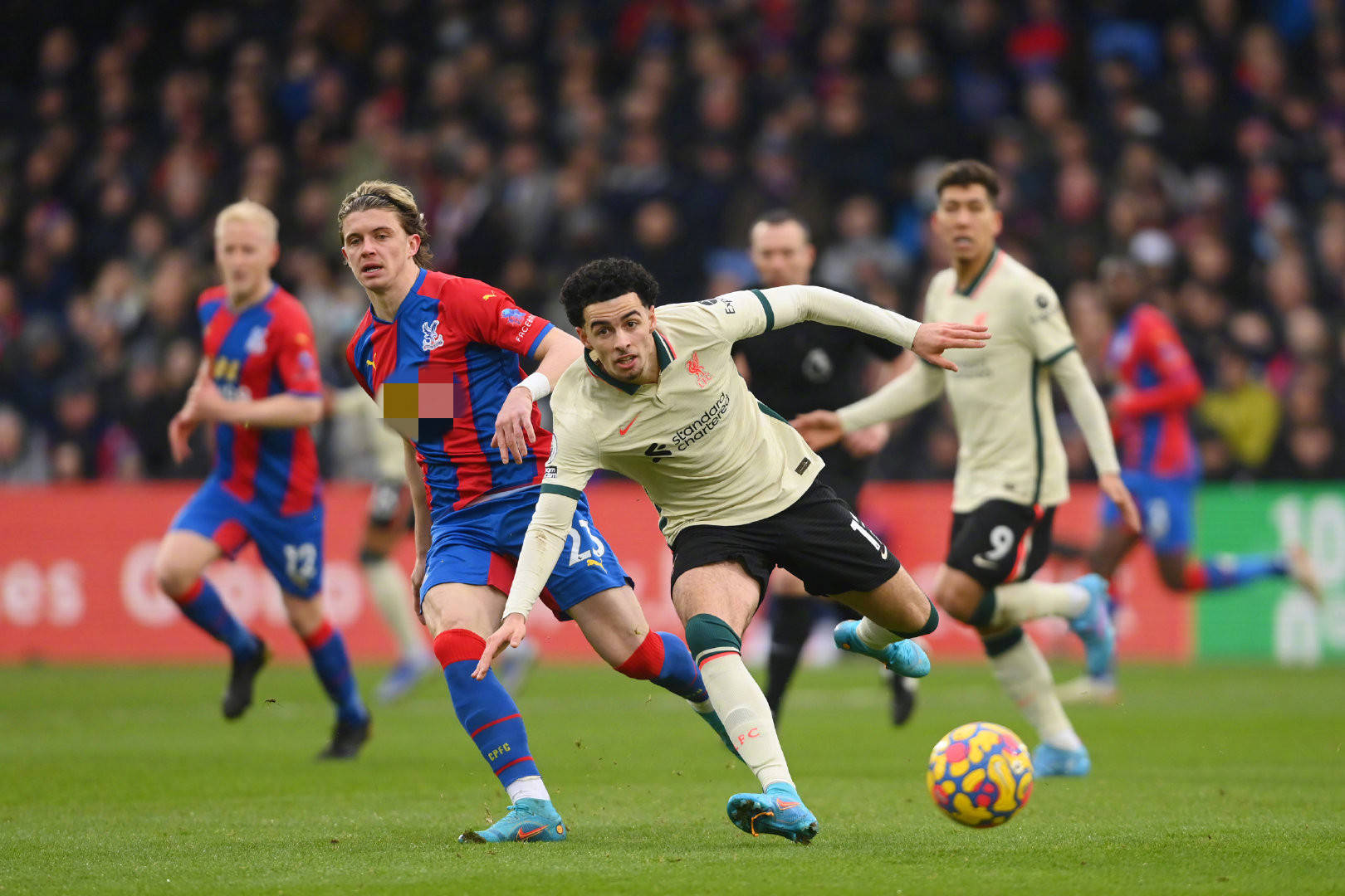 他们共同的 他们共同的